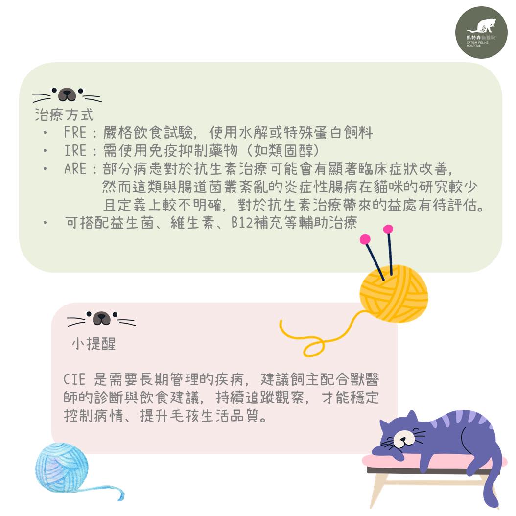 貓的慢性炎症性腸病-林彥仲 獸醫